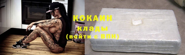 трава Новодвинск